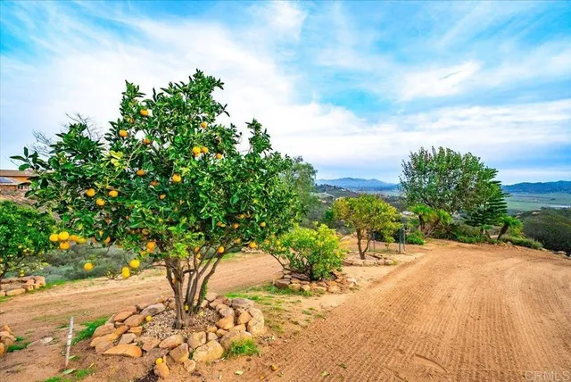 $1,699,000 | 19894 Via Vista Grande, Ramona, CA 92065
