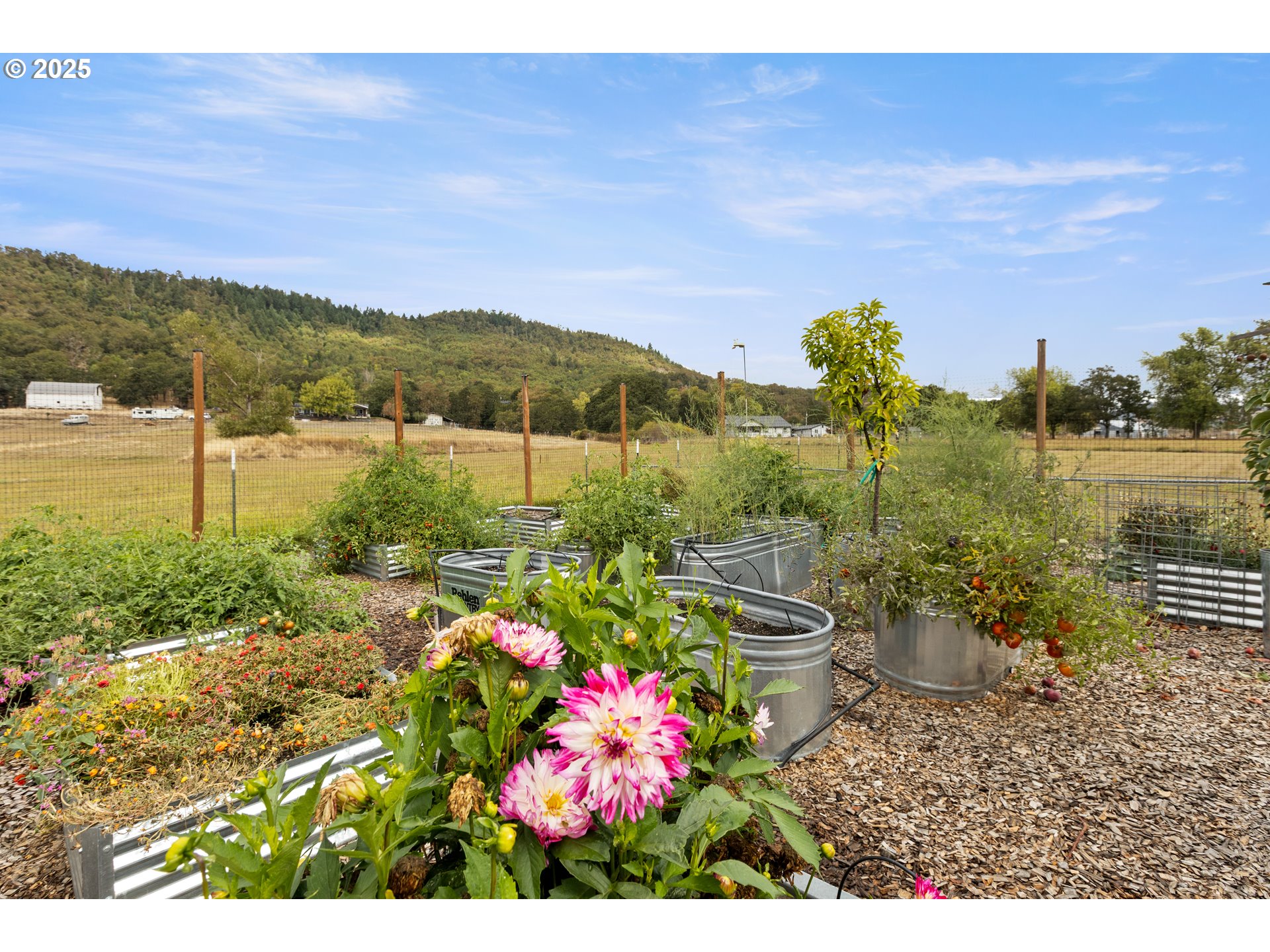 4321 Happy Valley Road Roseburg, OR 97471 - Photo 29 of 48