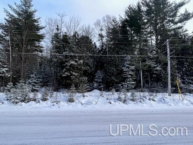 Parcel A Bootjack Road Lake Linden, MI 49945 - Photo 21 of 43 Gallery Image 21