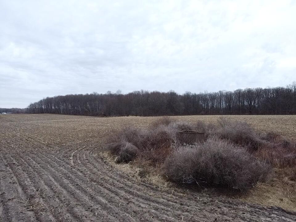 13048 Sullivan Road Emmett, MI 48022 - Photo 11 of 39 11