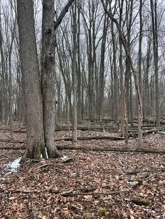 $472,000 | 13048 Sullivan Road, Emmett, MI 48022