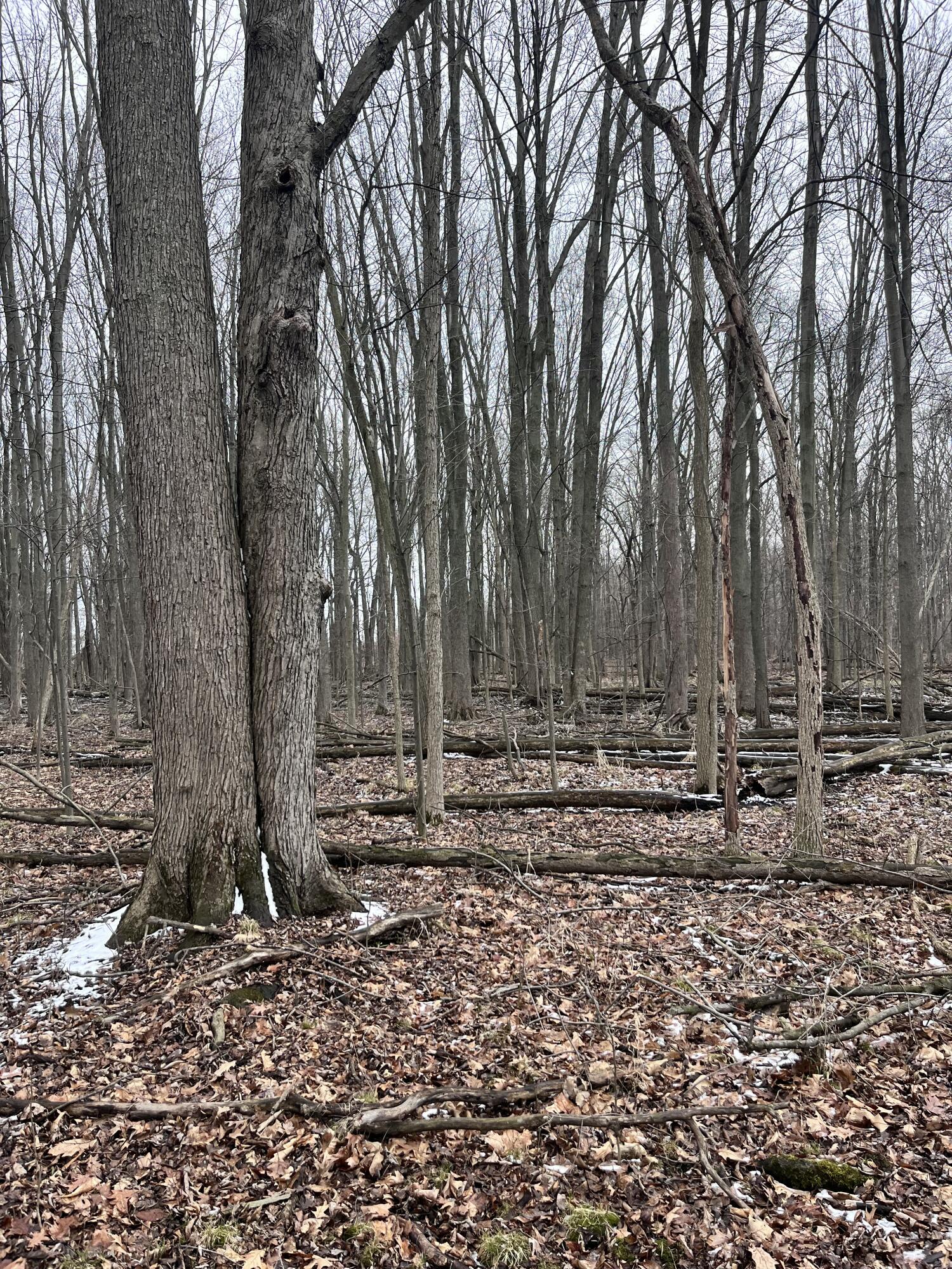 13048 Sullivan Road Emmett, MI 48022 - Photo 22 of 39 22