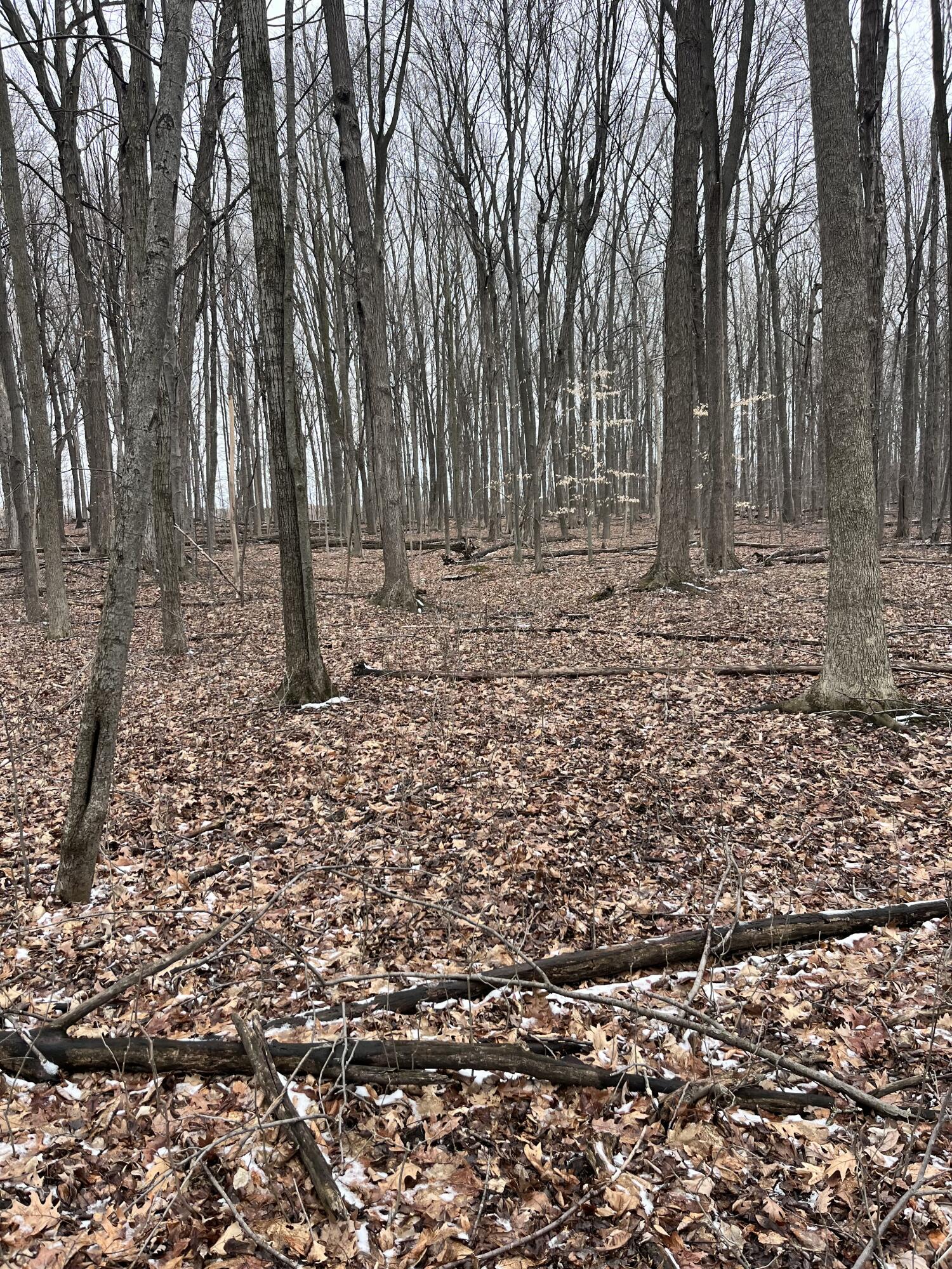 13048 Sullivan Road Emmett, MI 48022 - Photo 23 of 39 23