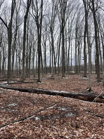 $472,000 | 13048 Sullivan Road, Emmett, MI 48022