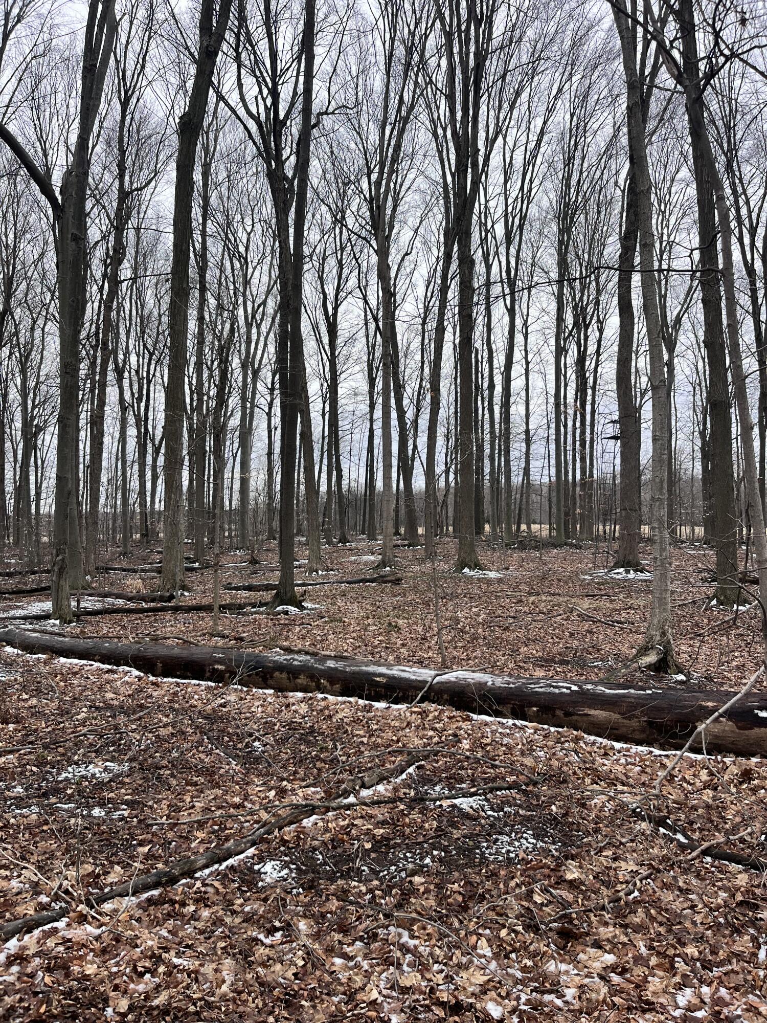 13048 Sullivan Road Emmett, MI 48022 - Photo 24 of 39 24