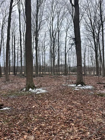 $472,000 | 13048 Sullivan Road, Emmett, MI 48022