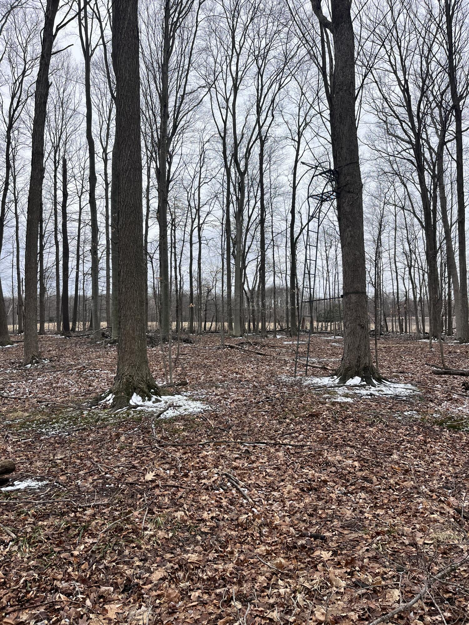 13048 Sullivan Road Emmett, MI 48022 - Photo 25 of 39 25