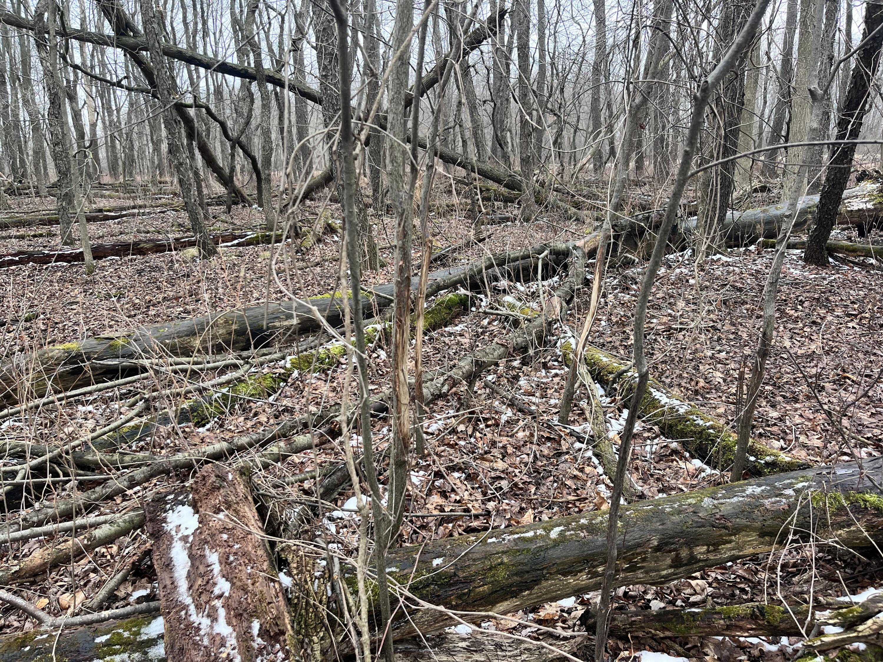 13048 Sullivan Road Emmett, MI 48022 - Photo 26 of 39 26