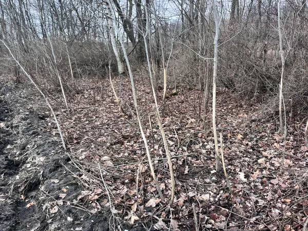 $472,000 | 13048 Sullivan Road, Emmett, MI 48022