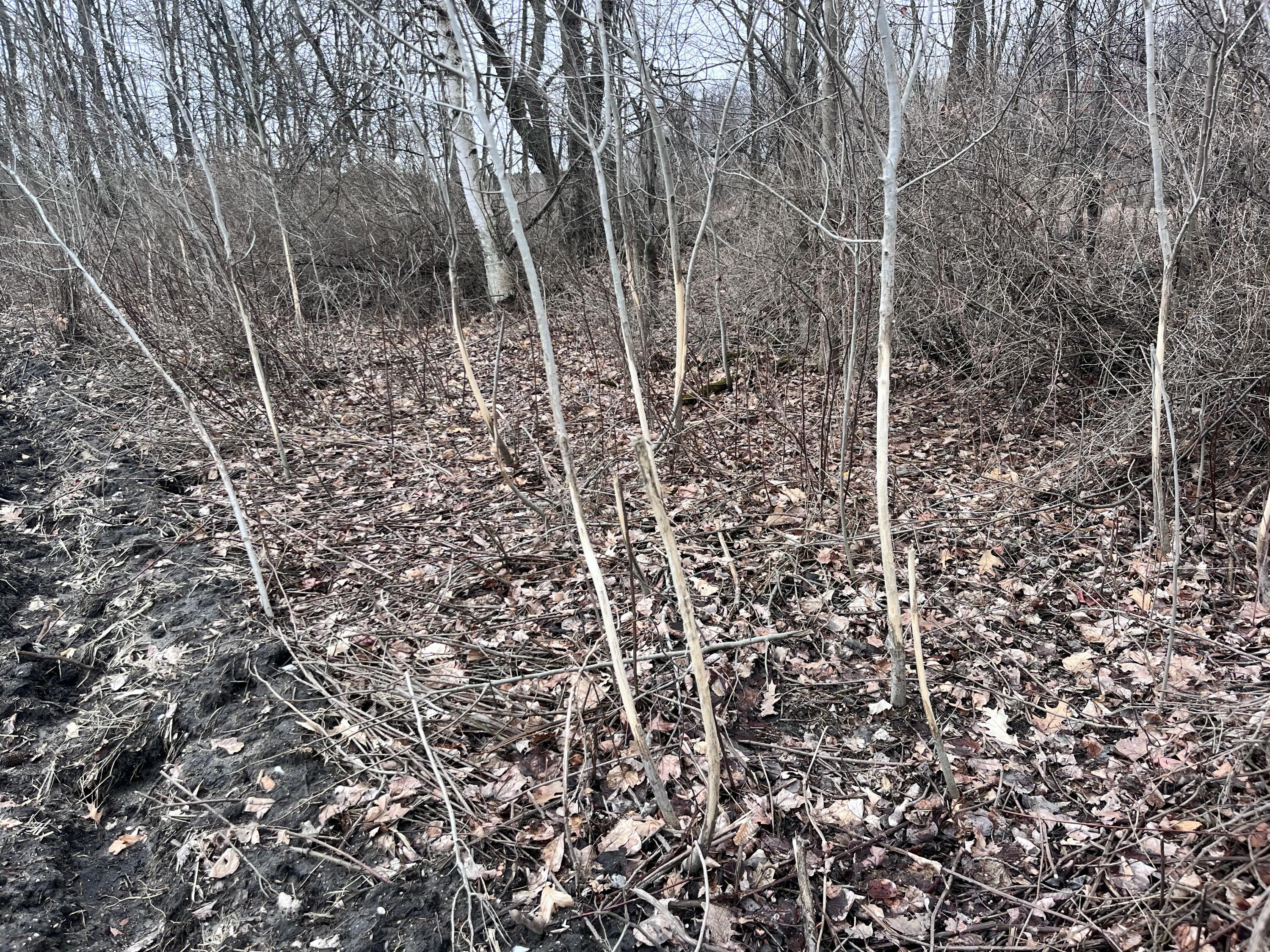 13048 Sullivan Road Emmett, MI 48022 - Photo 27 of 39 27