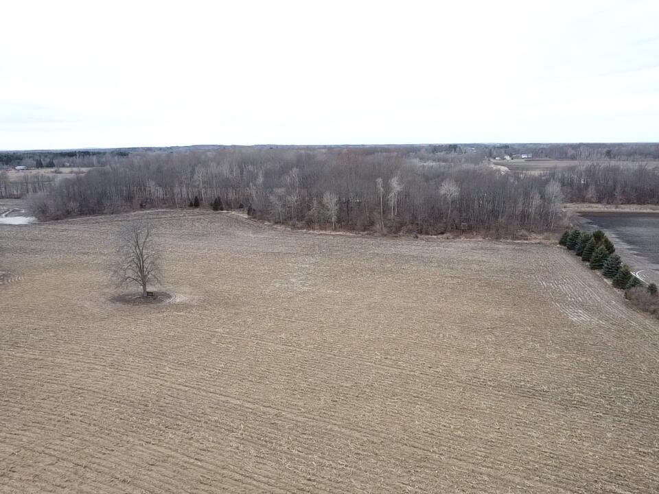 13048 Sullivan Road Emmett, MI 48022 - Photo 5 of 39 5