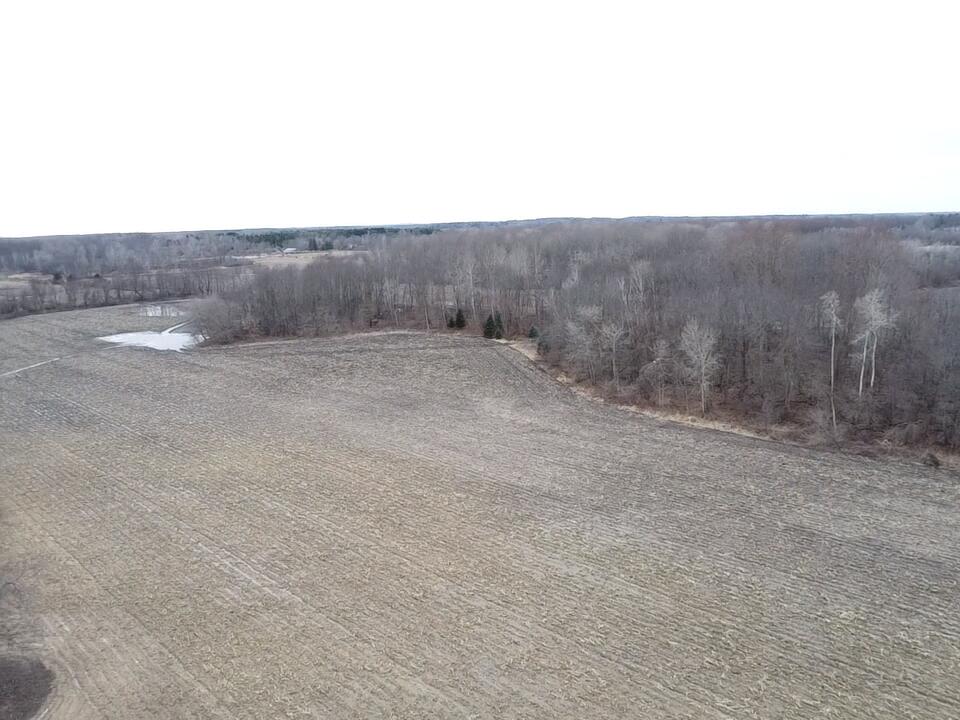 13048 Sullivan Road Emmett, MI 48022 - Photo 6 of 39 6