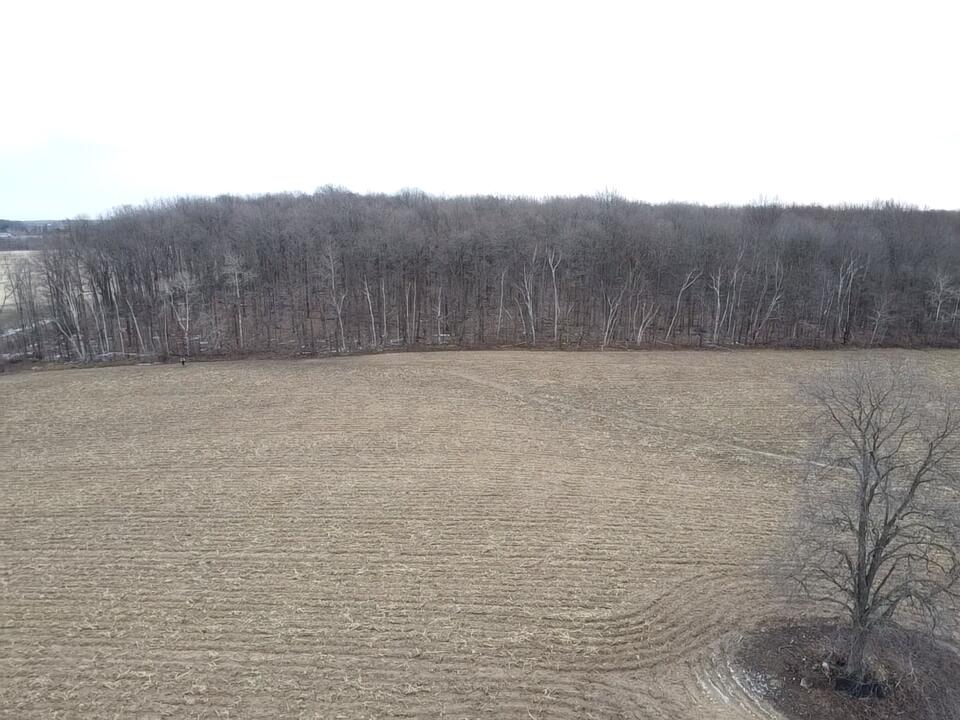 13048 Sullivan Road Emmett, MI 48022 - Photo 8 of 39 8