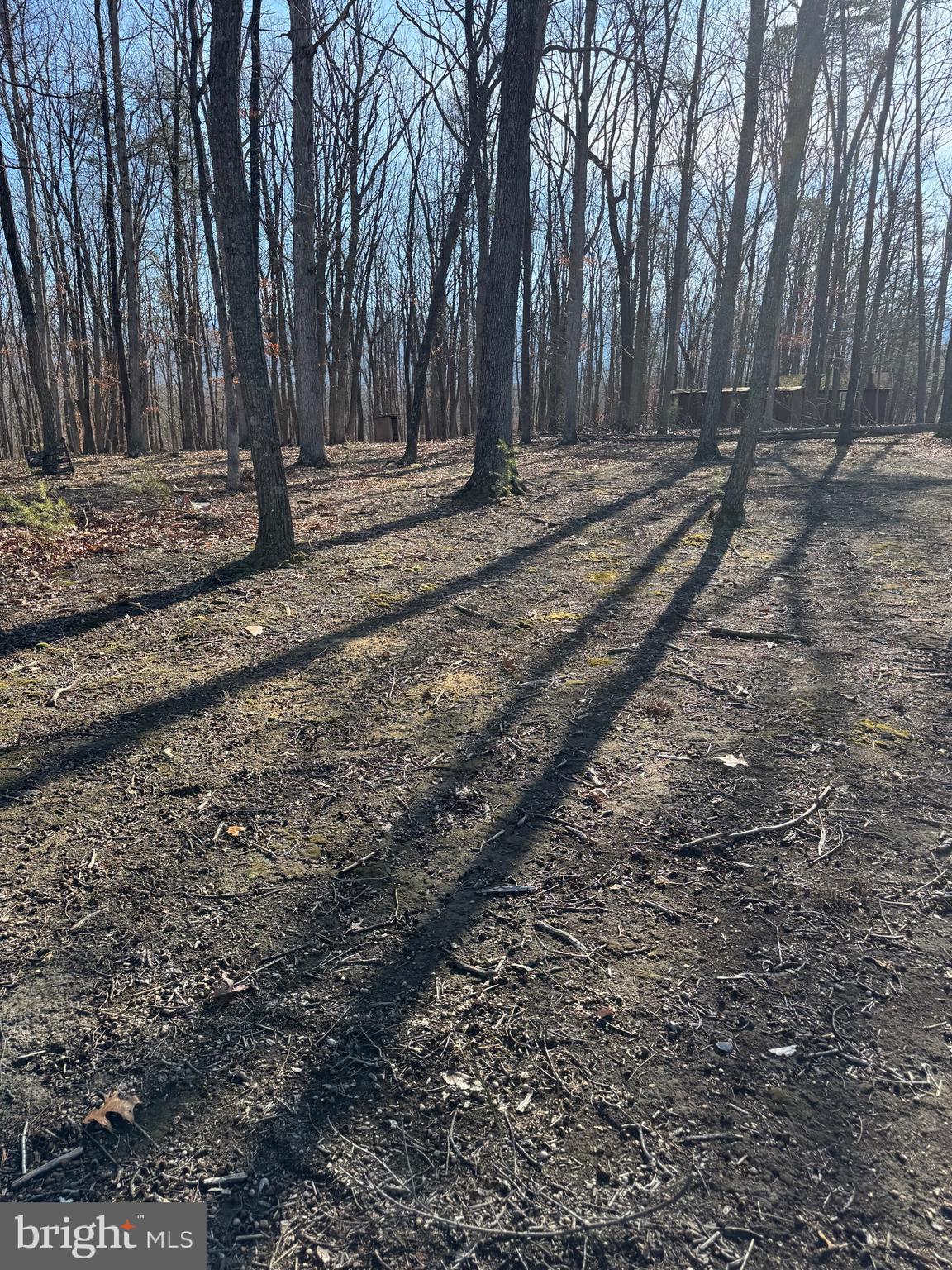 362 Oak Hill Road Moorefield, WV 26836 - Photo 101 of 132 a view of a backyard with large trees