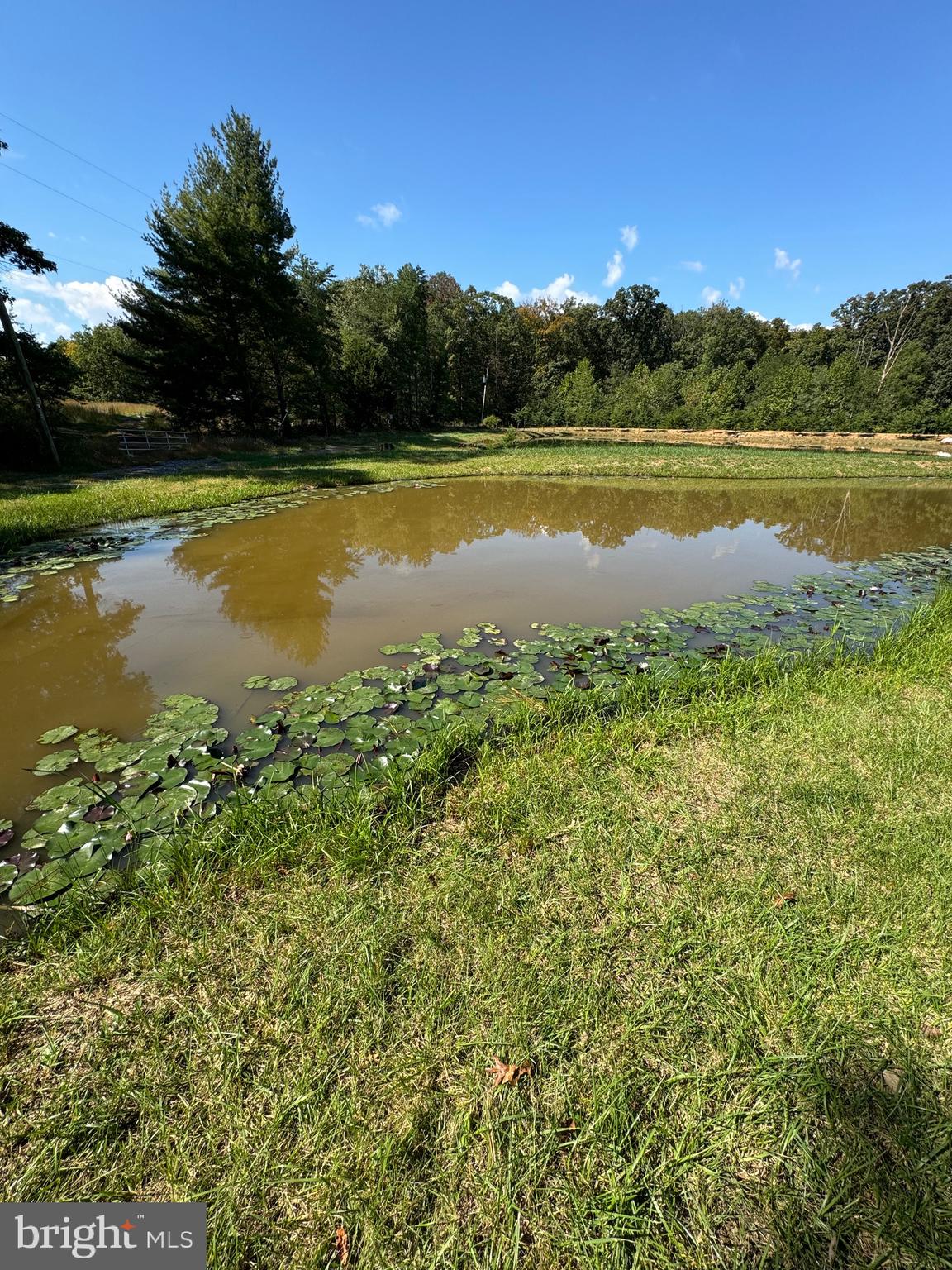 362 Oak Hill Road Moorefield, WV 26836 - Photo 11 of 132