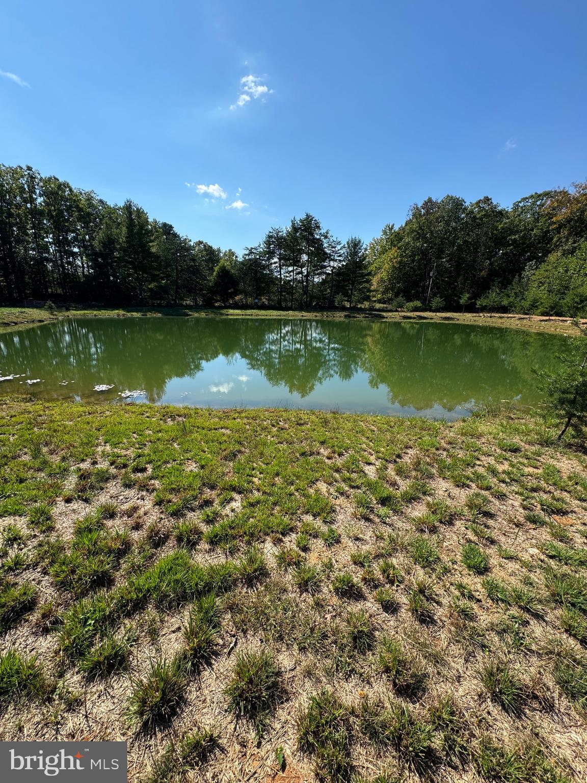 362 Oak Hill Road Moorefield, WV 26836 - Photo 12 of 132