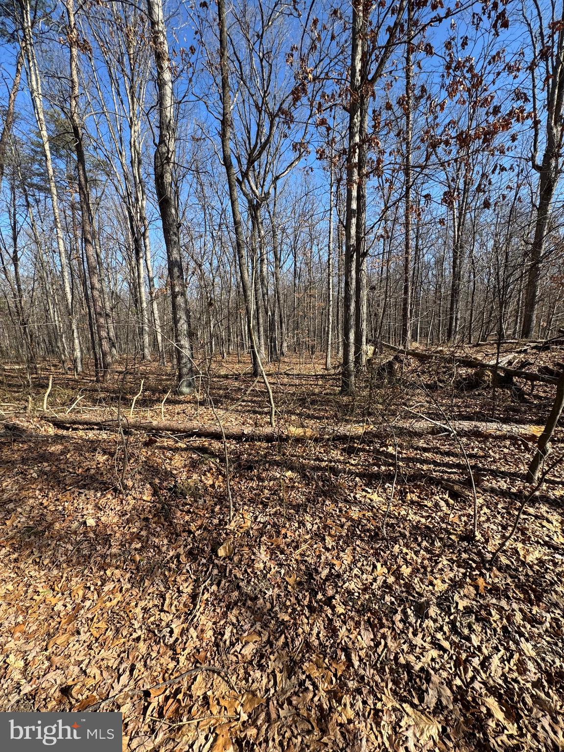 362 Oak Hill Road Moorefield, WV 26836 - Photo 129 of 132