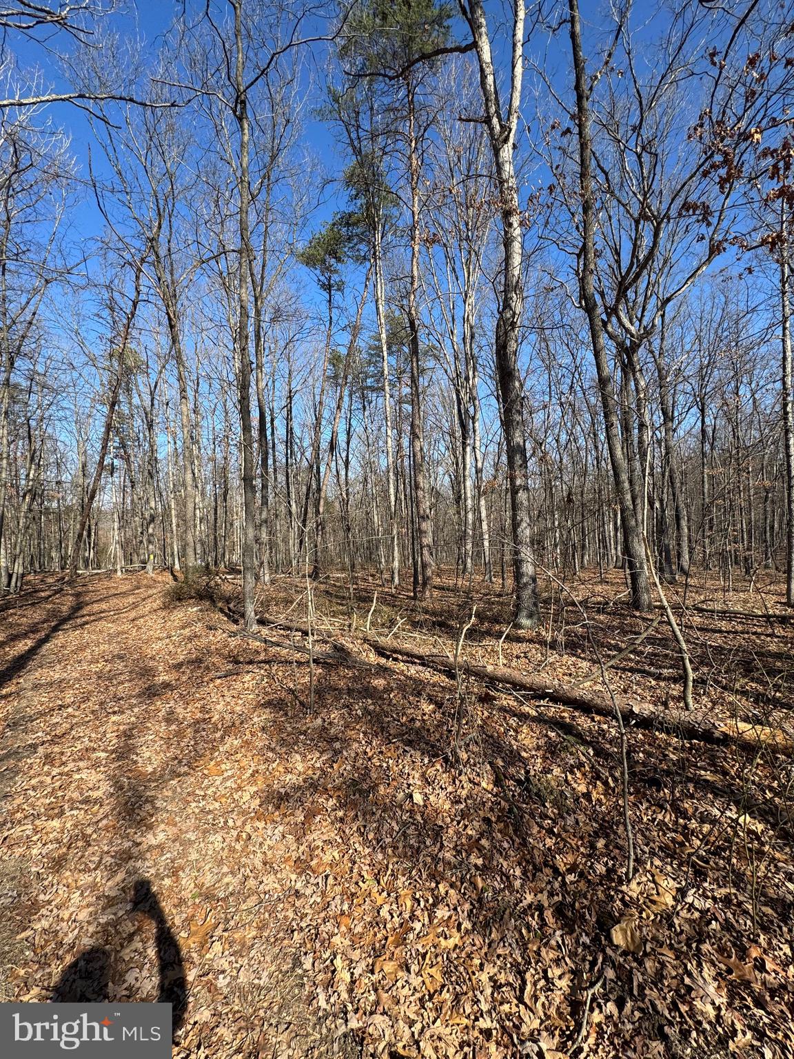 362 Oak Hill Road Moorefield, WV 26836 - Photo 132 of 132