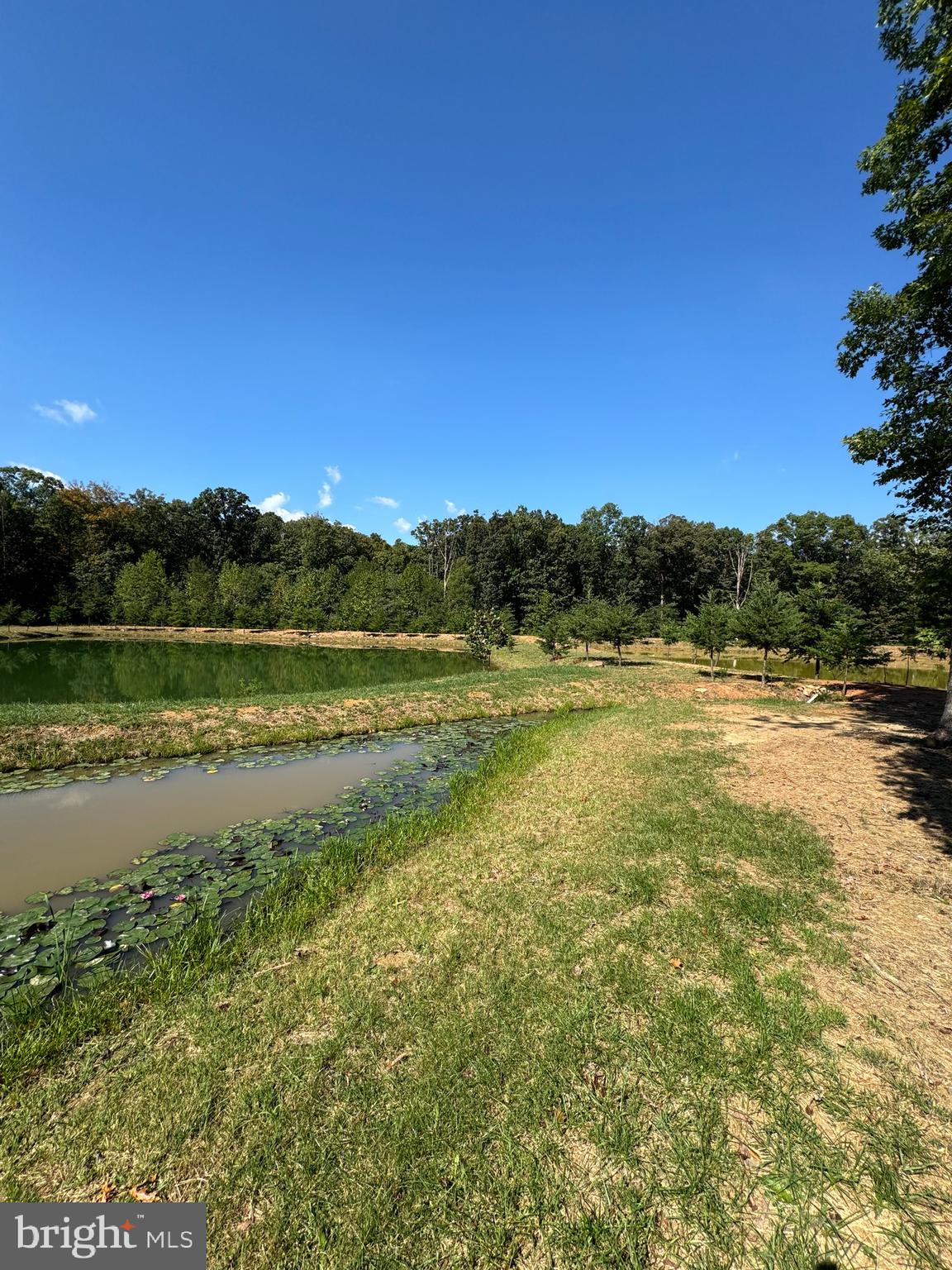 362 Oak Hill Road Moorefield, WV 26836 - Photo 14 of 132