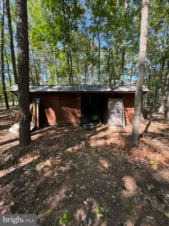 a view of dirt yard with a large tree