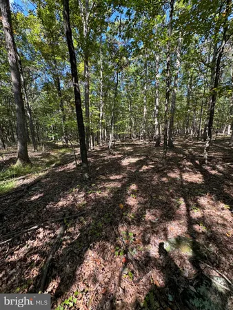 a view of a backyard with green space
