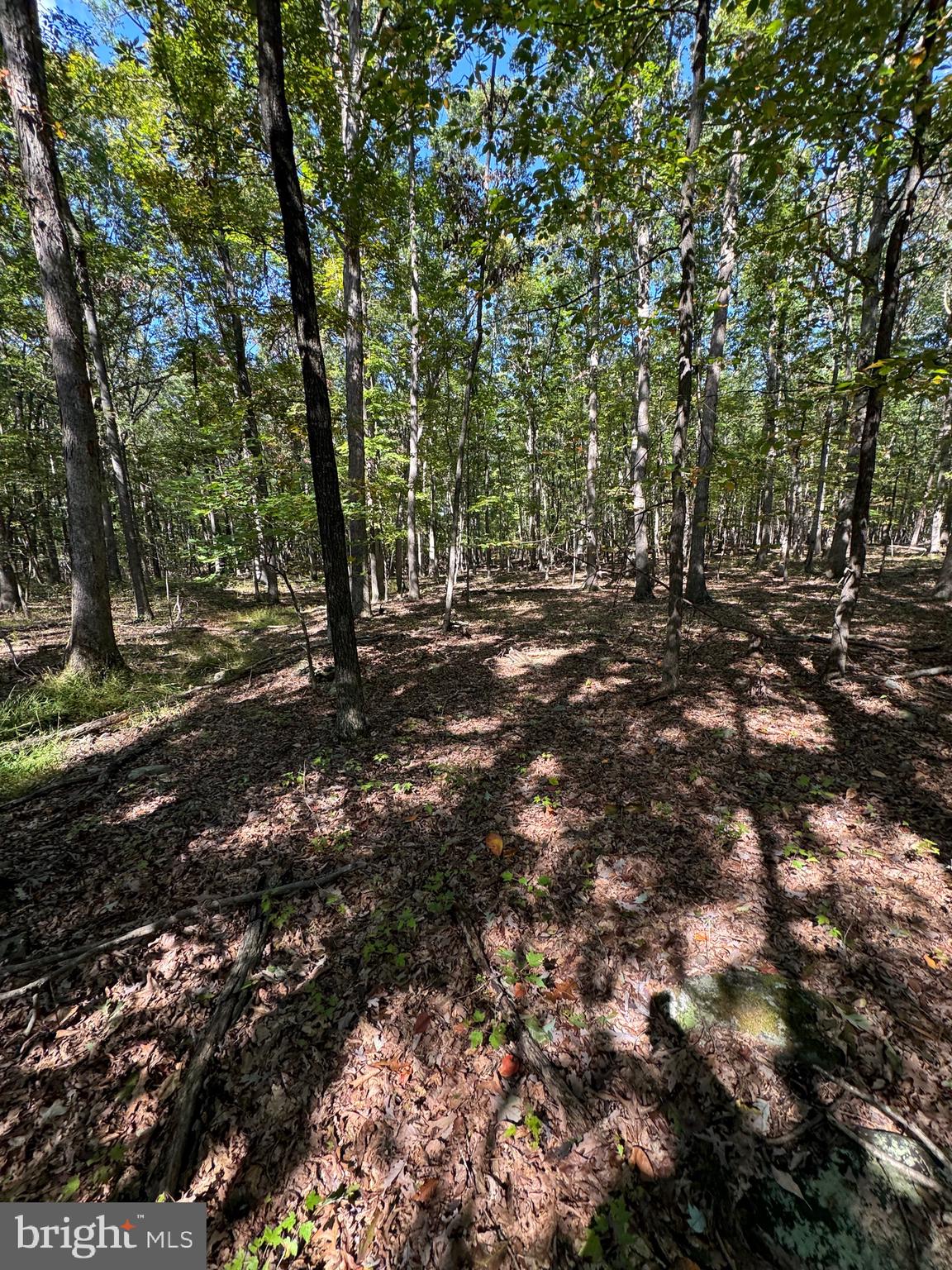 362 Oak Hill Road Moorefield, WV 26836 - Photo 35 of 132