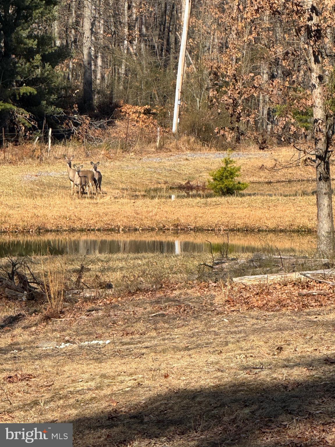 362 Oak Hill Road Moorefield, WV 26836 - Photo 41 of 132