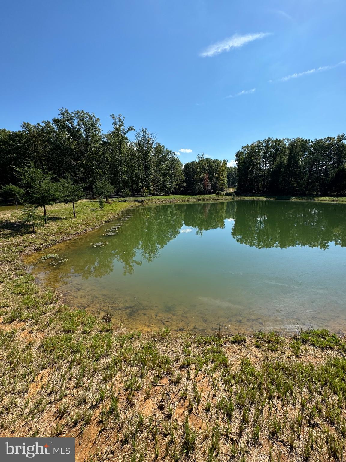 362 Oak Hill Road Moorefield, WV 26836 - Photo 43 of 132 a view of a lake with a yard