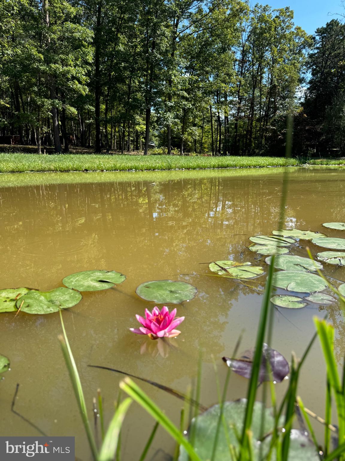 362 Oak Hill Road Moorefield, WV 26836 - Photo 45 of 132
