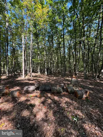 a view of a backyard of the house