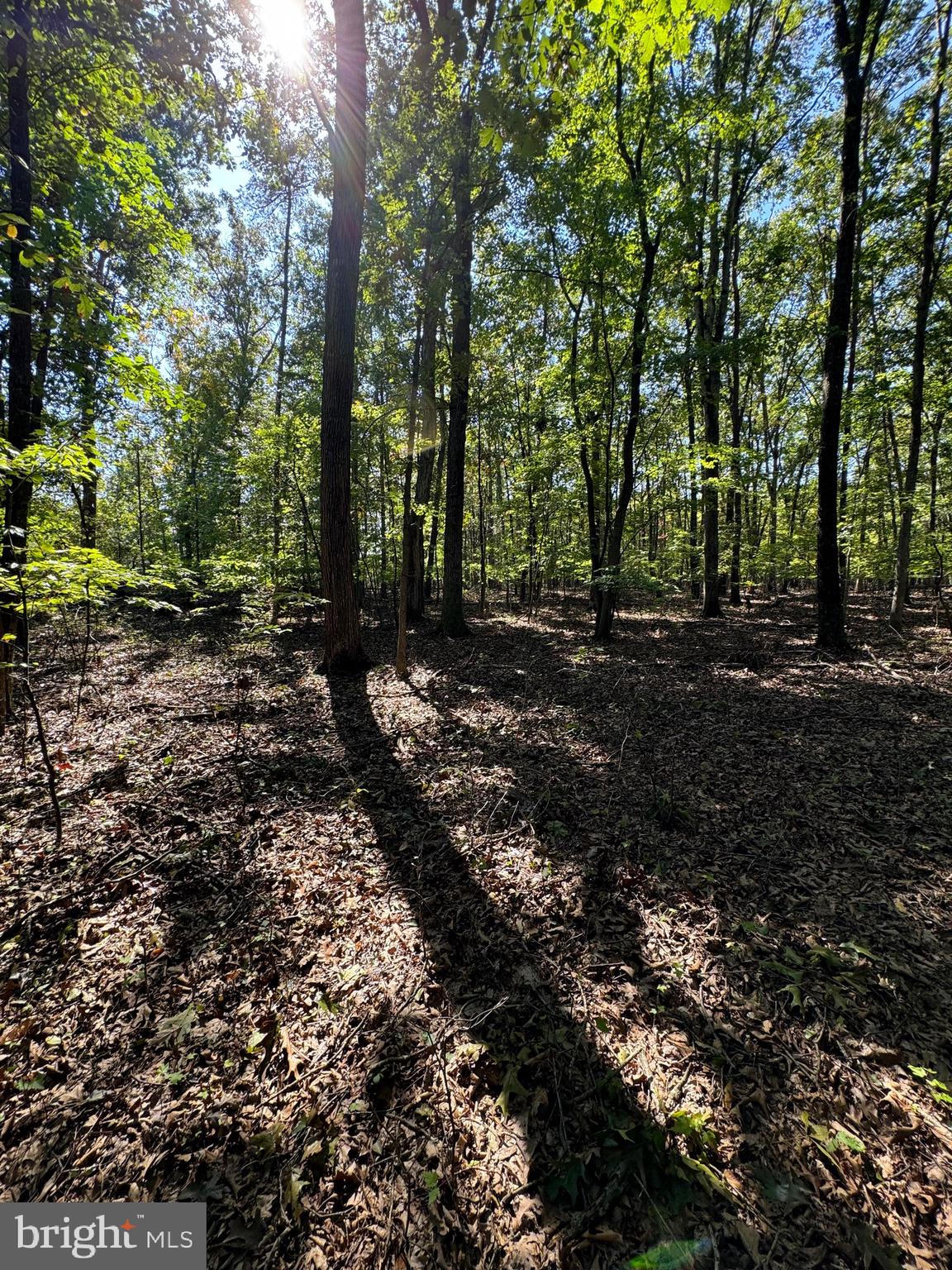 362 Oak Hill Road Moorefield, WV 26836 - Photo 53 of 132