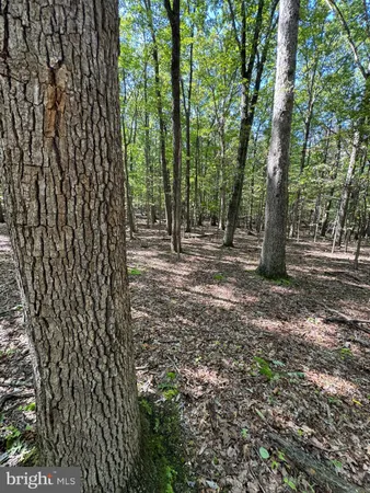 $195,000 | 362 Oak Hill Road, Moorefield, WV 26836