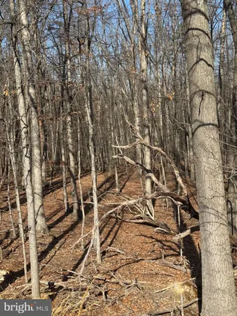 $195,000 | 362 Oak Hill Road, Moorefield, WV 26836