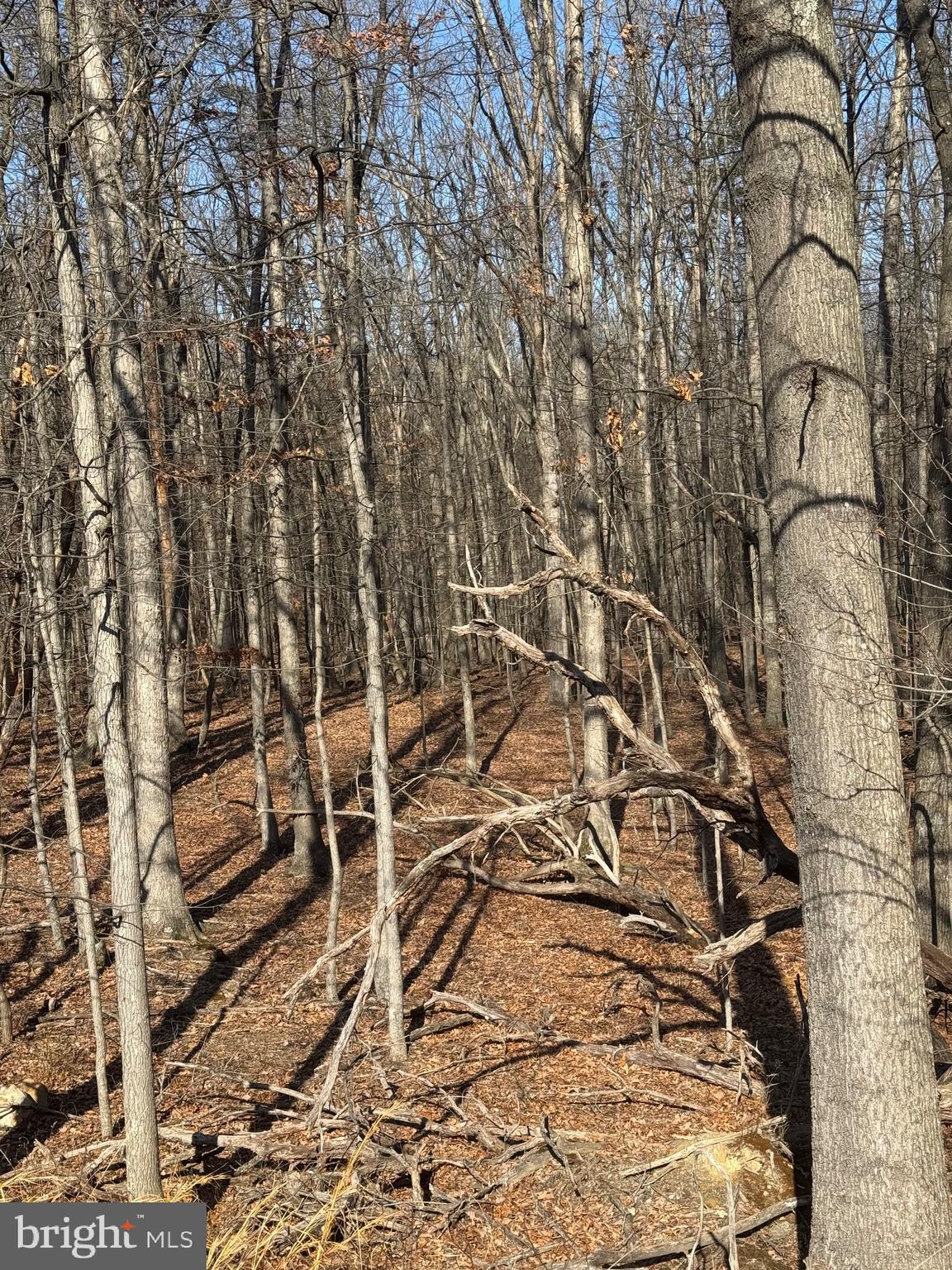 362 Oak Hill Road Moorefield, WV 26836 - Photo 62 of 132