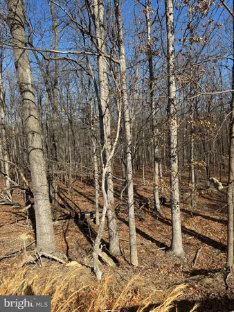 $195,000 | 362 Oak Hill Road, Moorefield, WV 26836