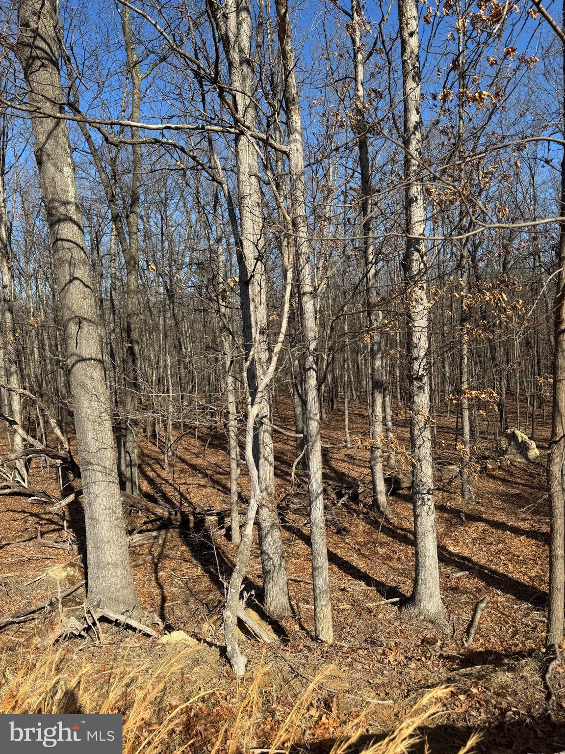 362 Oak Hill Road Moorefield, WV 26836 - Photo 65 of 132