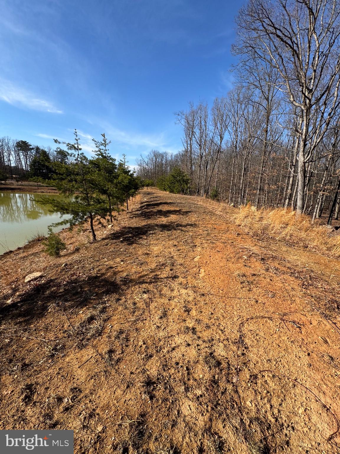 362 Oak Hill Road Moorefield, WV 26836 - Photo 68 of 132 a view of a yard with a tree
