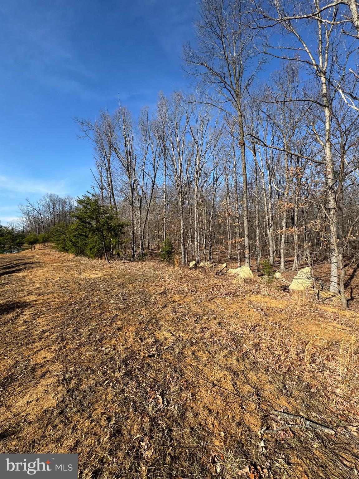 362 Oak Hill Road Moorefield, WV 26836 - Photo 69 of 132