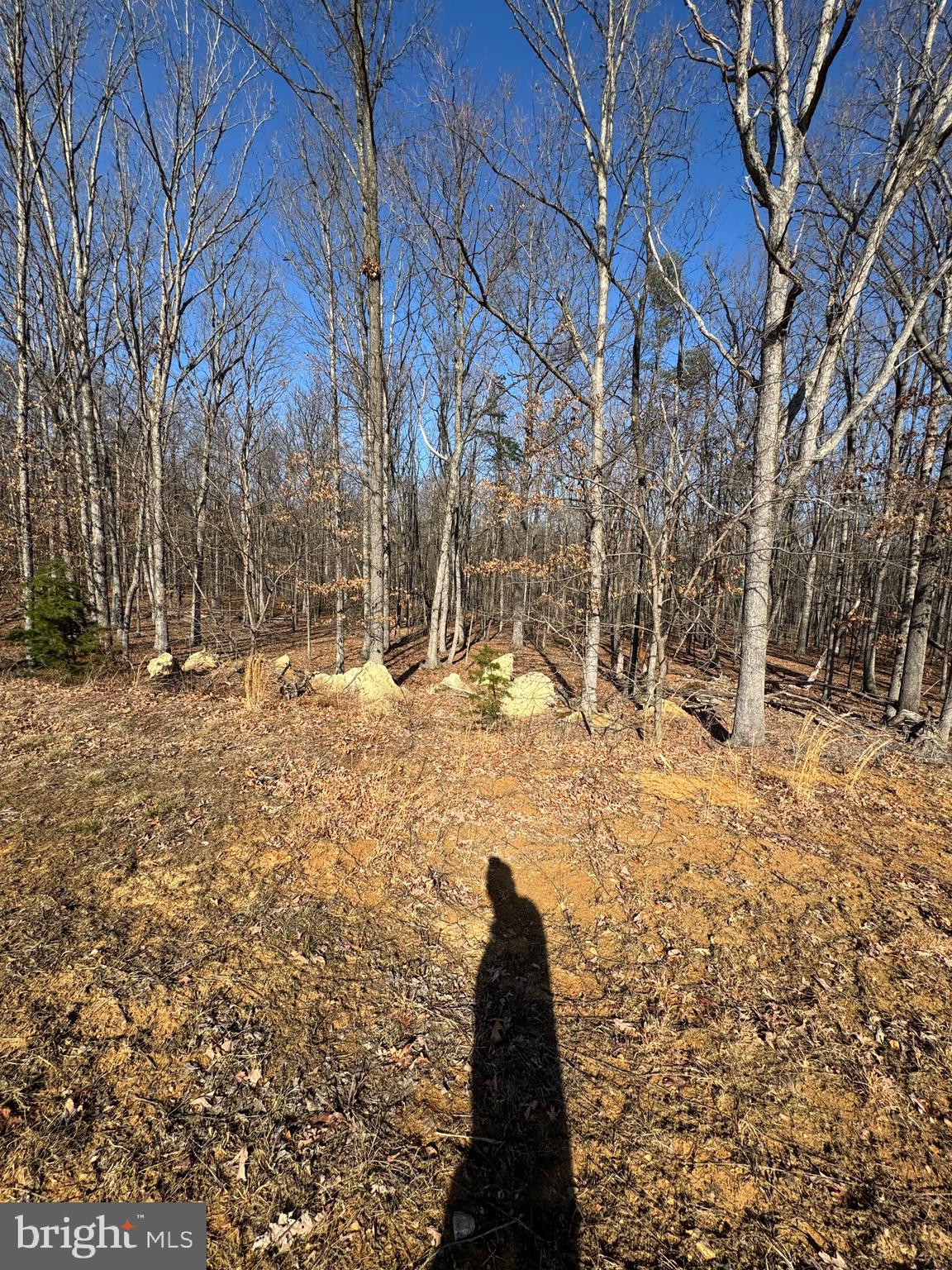 362 Oak Hill Road Moorefield, WV 26836 - Photo 71 of 132