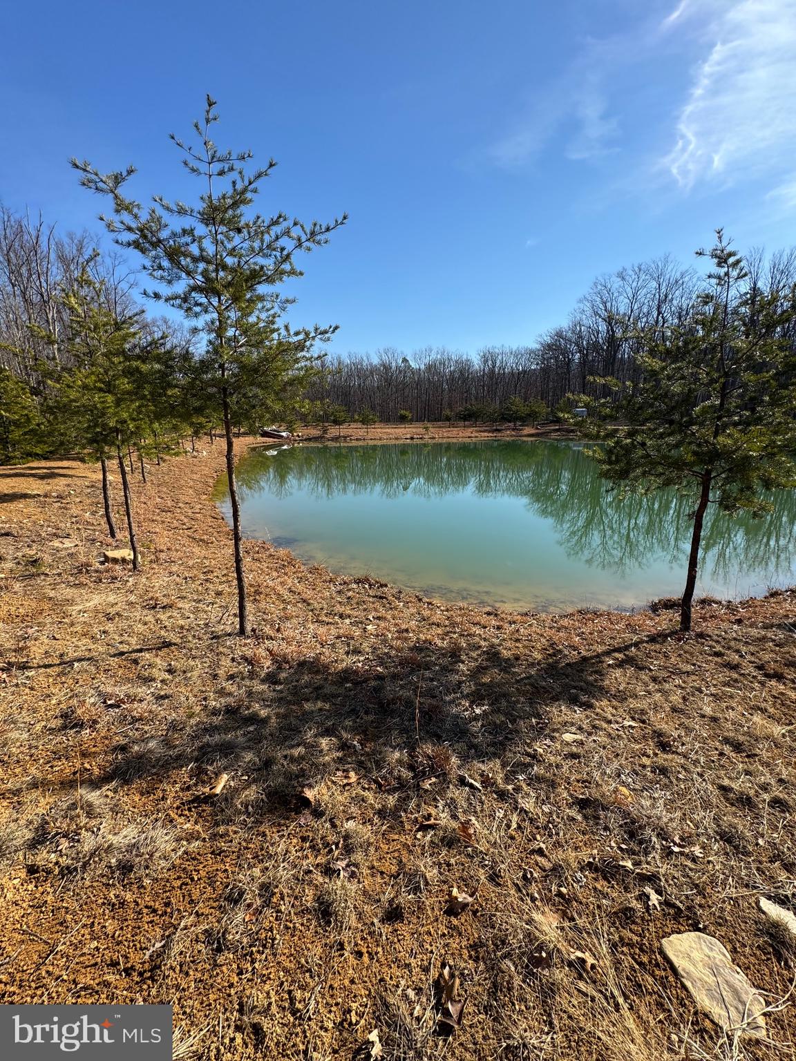 362 Oak Hill Road Moorefield, WV 26836 - Photo 83 of 132