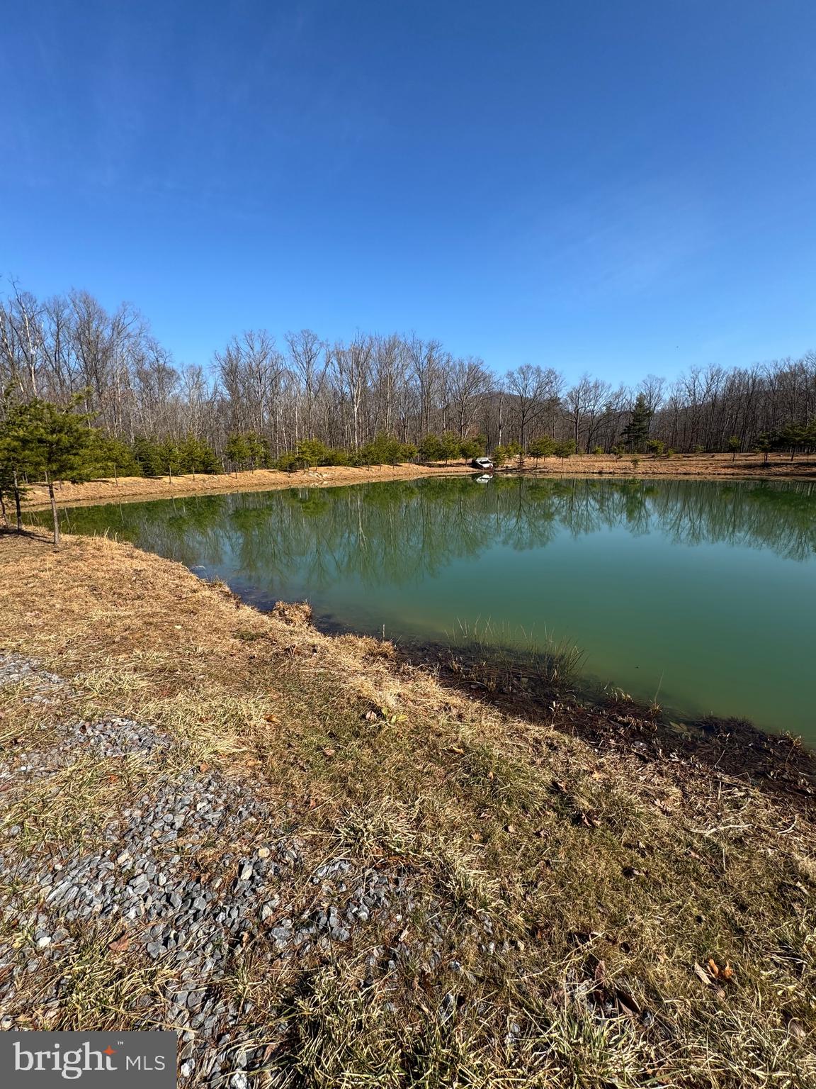 362 Oak Hill Road Moorefield, WV 26836 - Photo 86 of 132