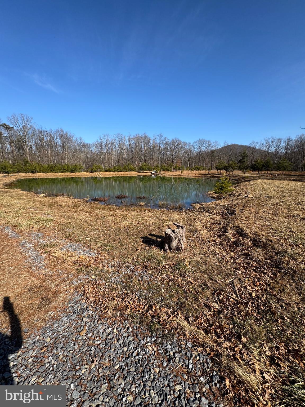 362 Oak Hill Road Moorefield, WV 26836 - Photo 87 of 132 a view of lake with mountain