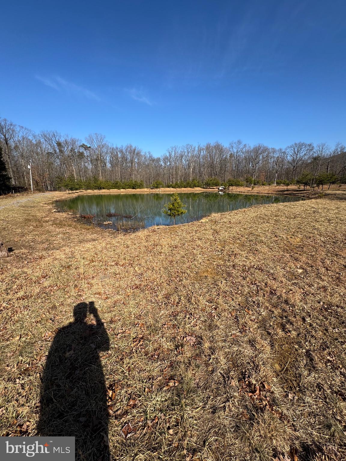 362 Oak Hill Road Moorefield, WV 26836 - Photo 91 of 132