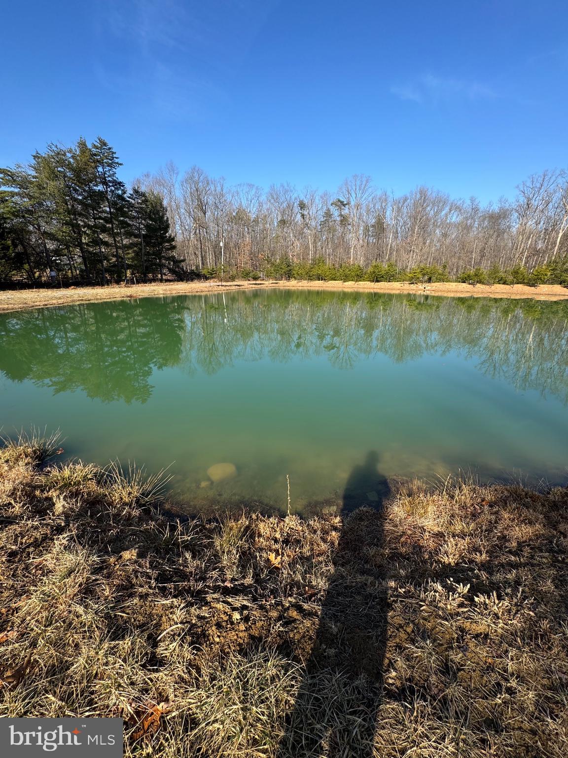 362 Oak Hill Road Moorefield, WV 26836 - Photo 93 of 132 a view of a lake in between two and trees