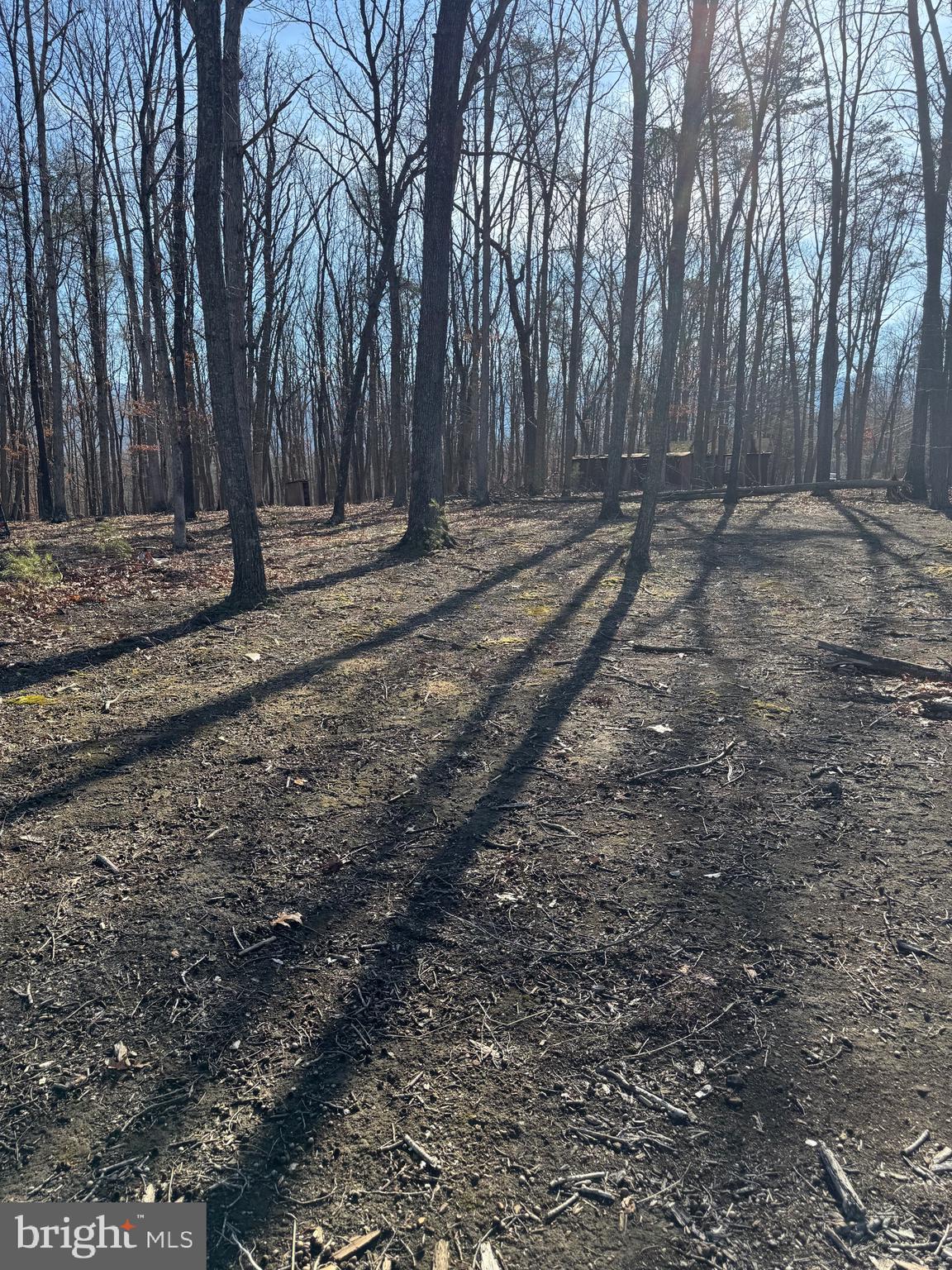 362 Oak Hill Road Moorefield, WV 26836 - Photo 96 of 132