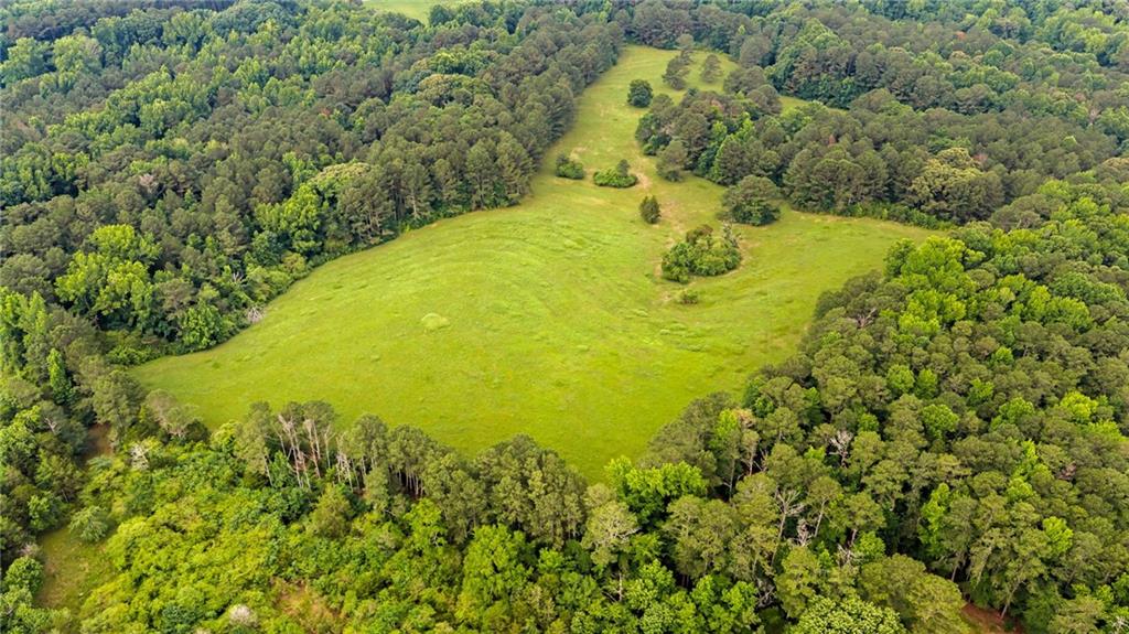 0 Capps Ferry Road Palmetto, GA 30268 - Photo 3 of 71