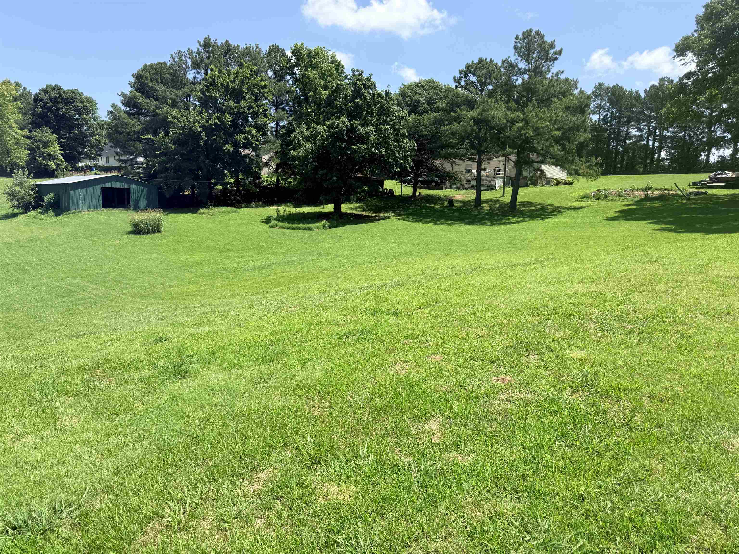 6719 Chestnut Bluff Road Friendship, TN 38034 - Photo 6 of 24