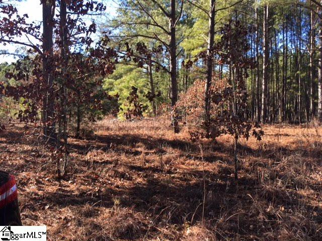 0 Watts Bridge Road Cross Hill, SC 29332 - Photo 1 of 9 Gallery Image 1