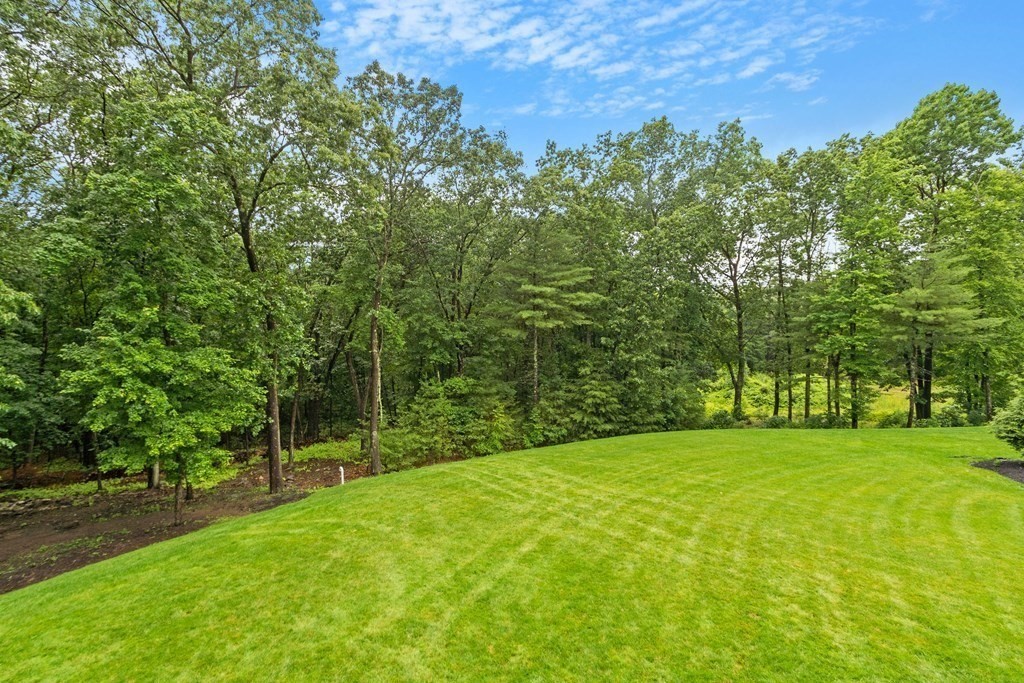 64 Mill Pond Road Bolton, MA 01740 - Photo 38 of 41 a view of a trees with a yard