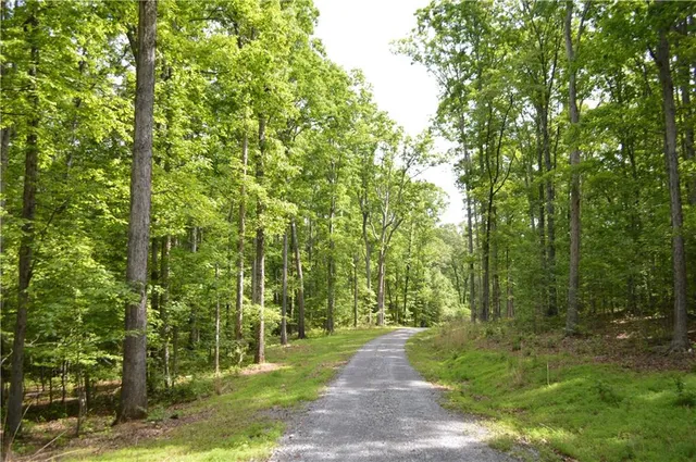 $1,825,000 | 8 Ripplewood Trail, Euharlee, GA 30145